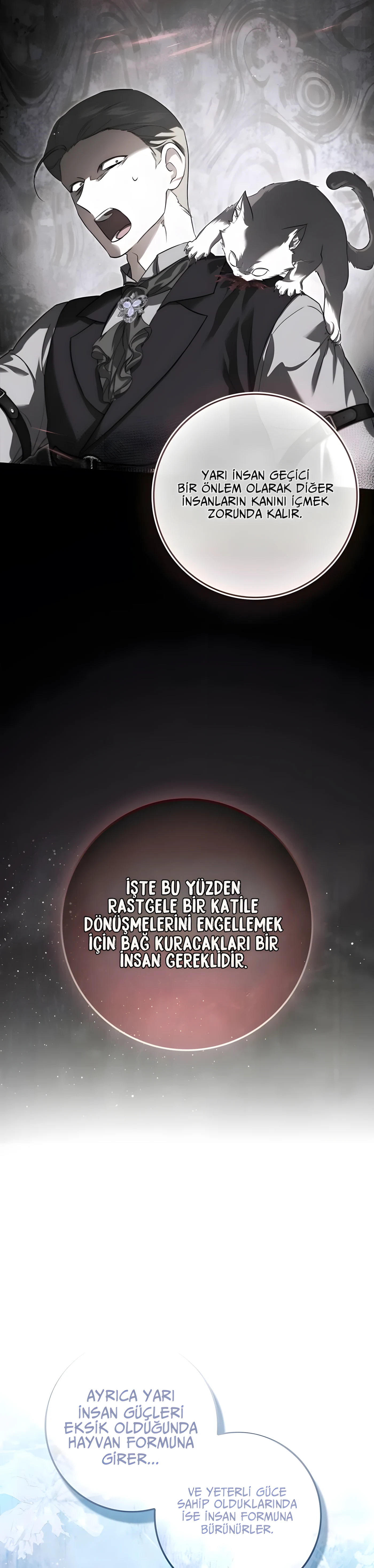 Bölüm 31