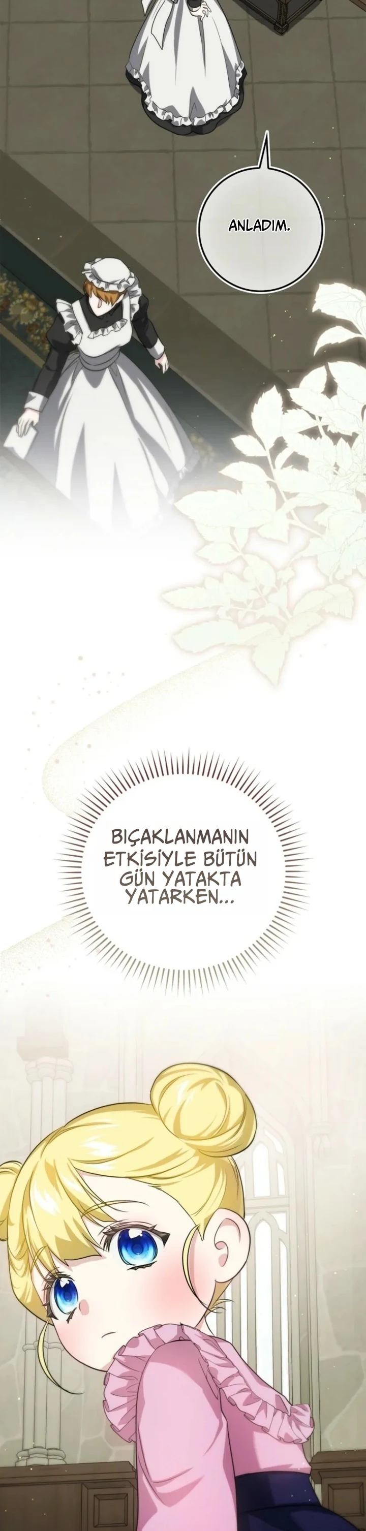 Bölüm 7
