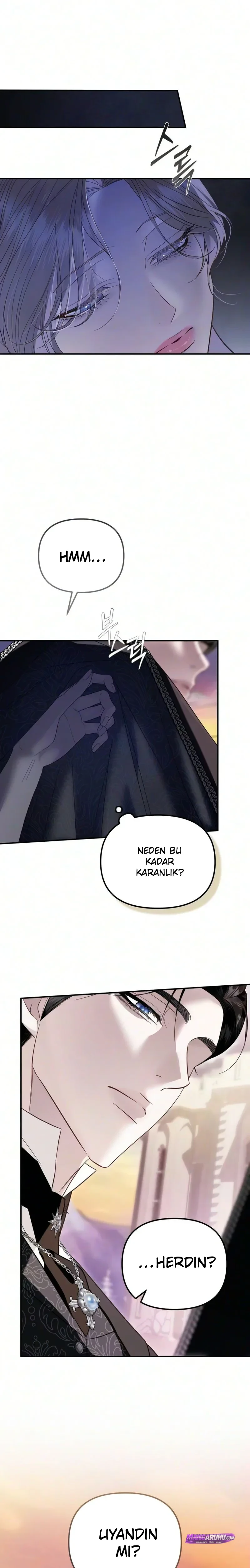 Bölüm 11
