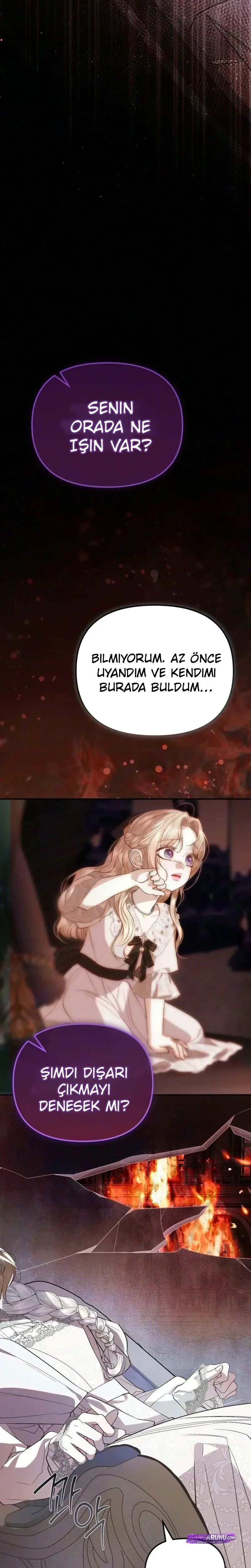 Bölüm 11