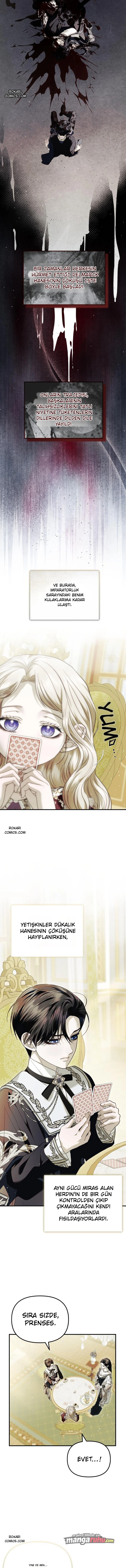 Bölüm 17