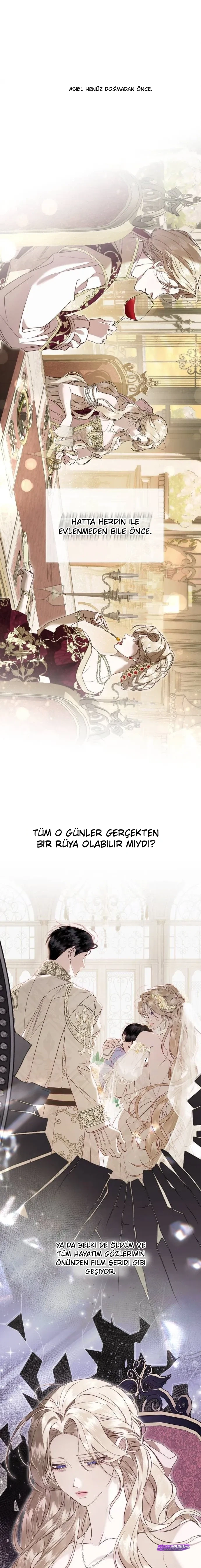 Bölüm 3