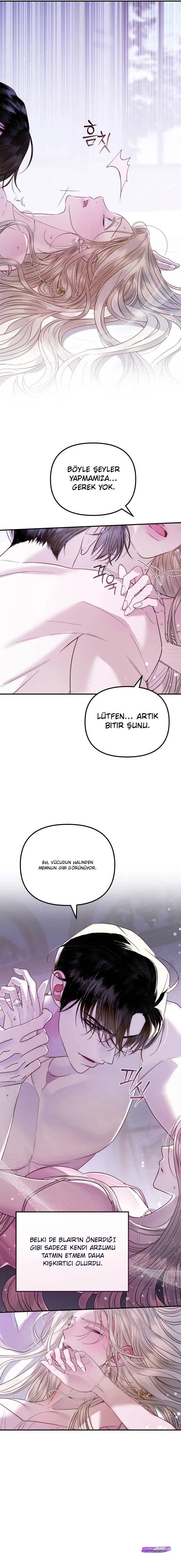 Bölüm 7