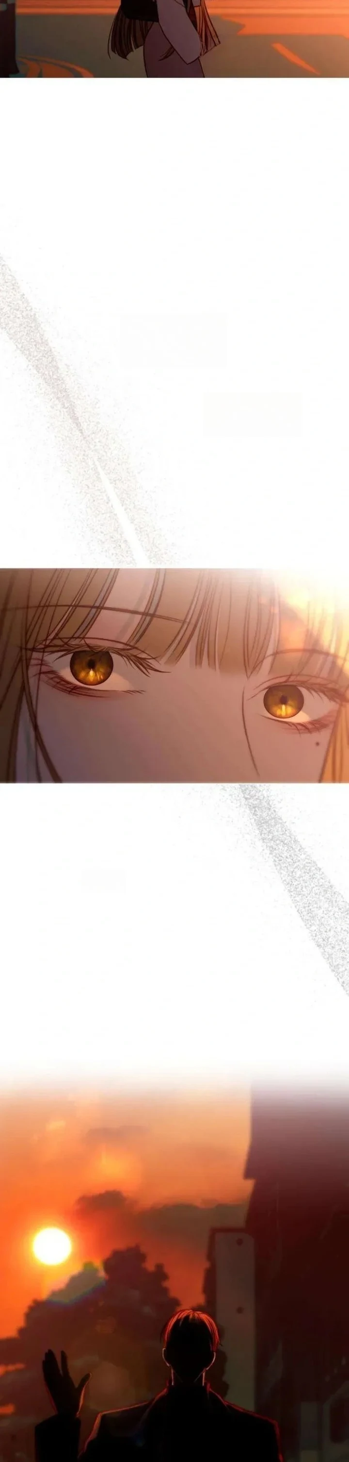 Bölüm 3