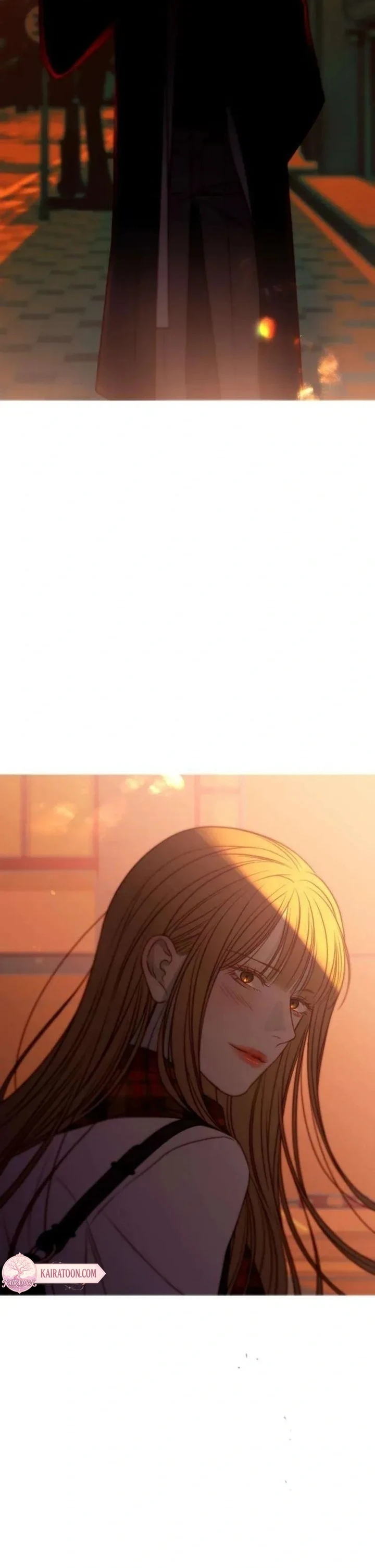 Bölüm 3