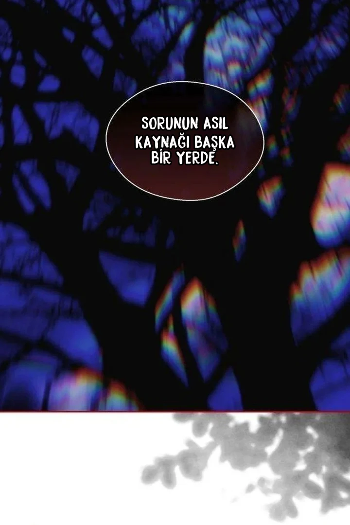 Bölüm 5