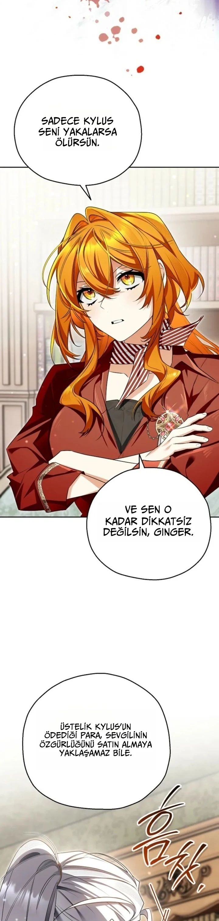Bölüm 11
