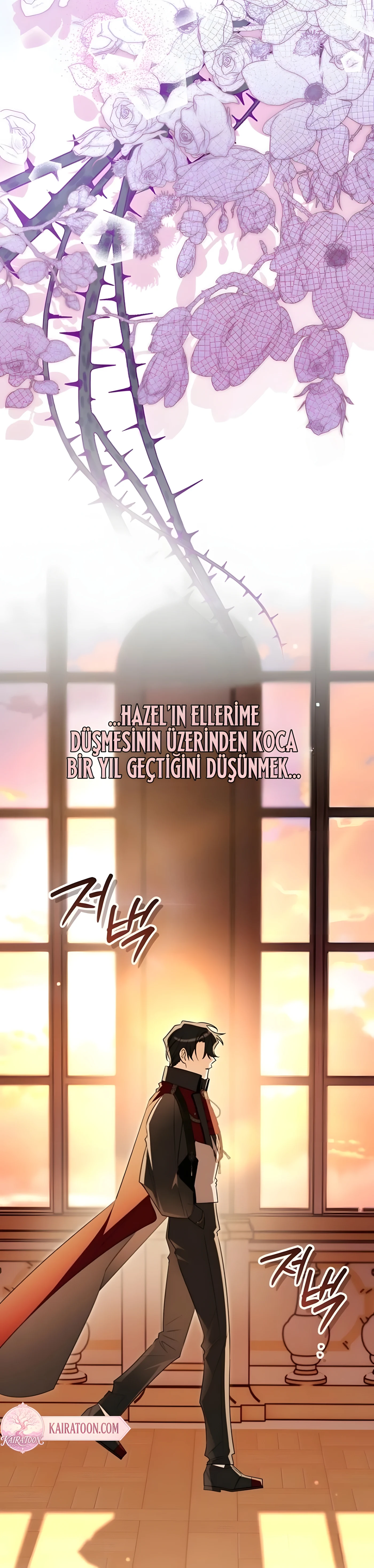 Bölüm 8