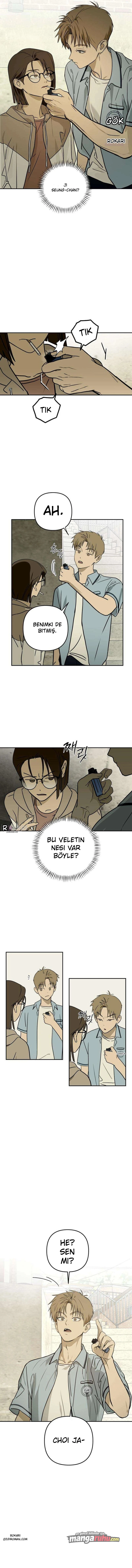 Bölüm 11