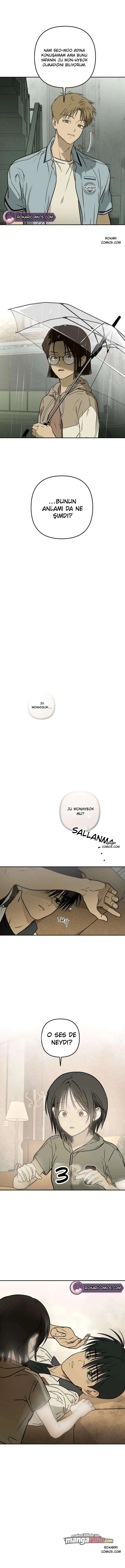 Bölüm 11