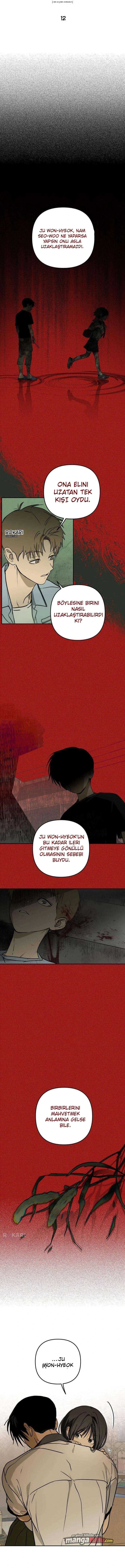 Bölüm 12