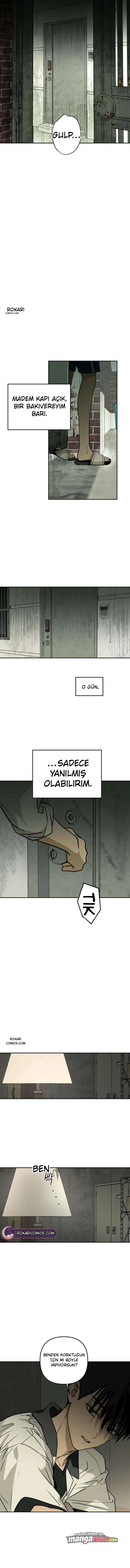 Bölüm 12