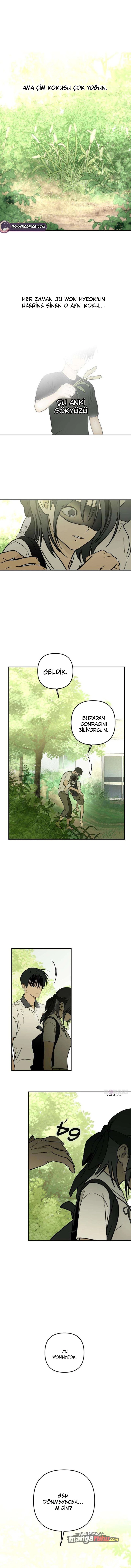 Bölüm 15