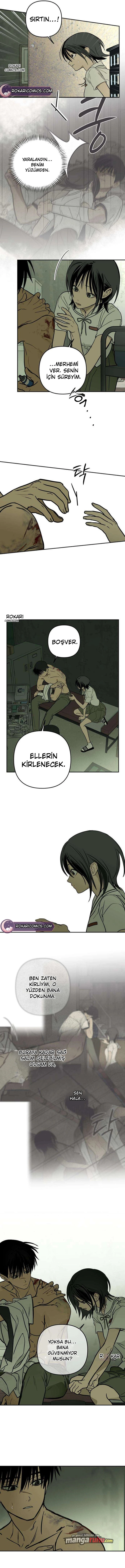 Bölüm 19