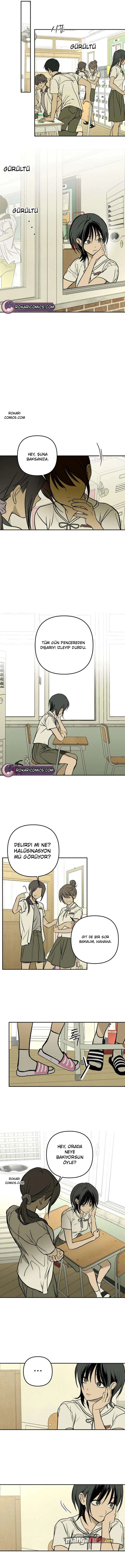 Bölüm 20