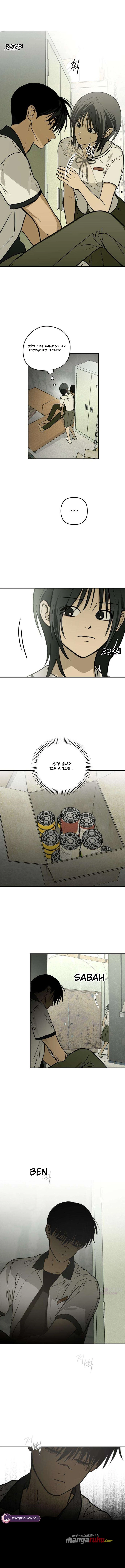 Bölüm 8
