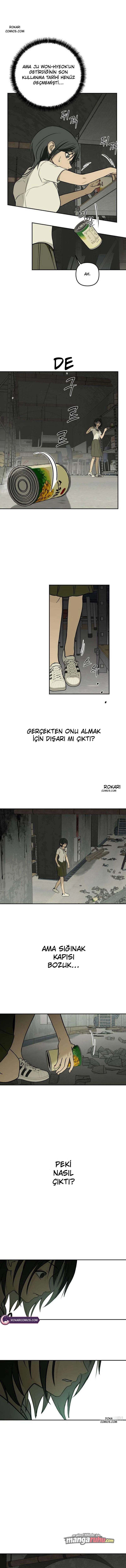 Bölüm 8