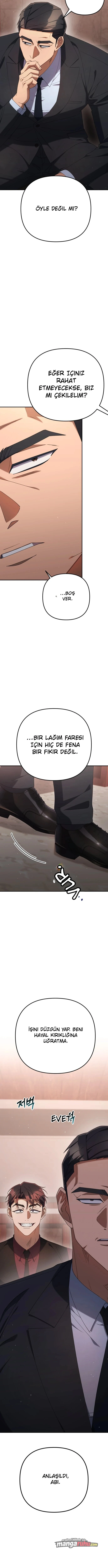 Bölüm 17