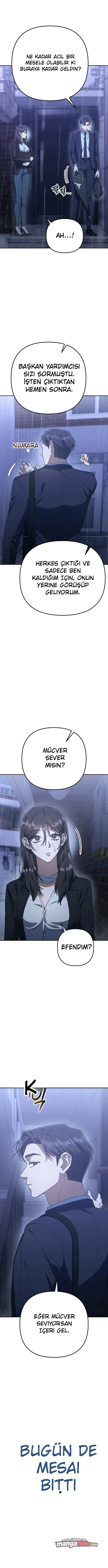 Bölüm 6