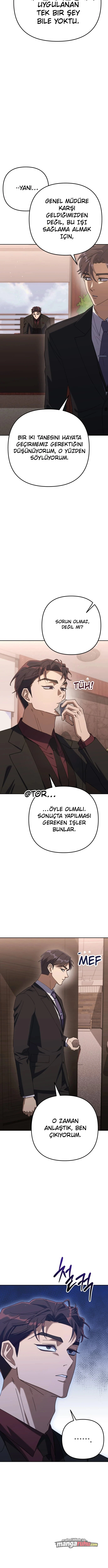 Bölüm 7