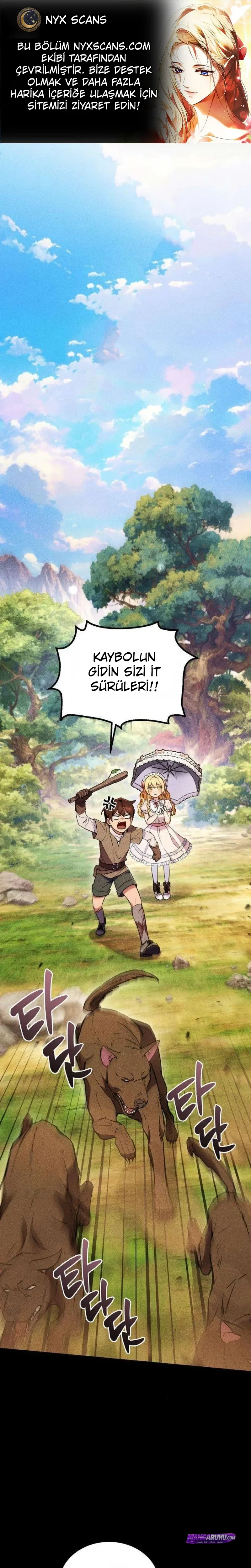Bölüm 8