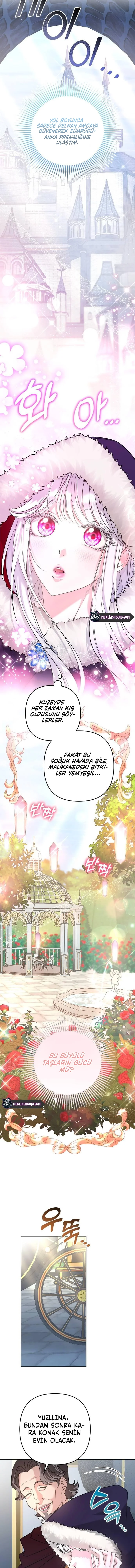 Bölüm 1