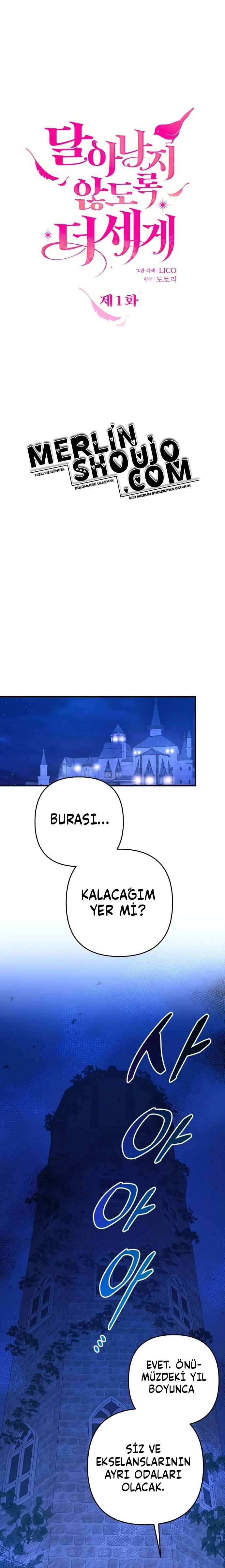 Bölüm 1