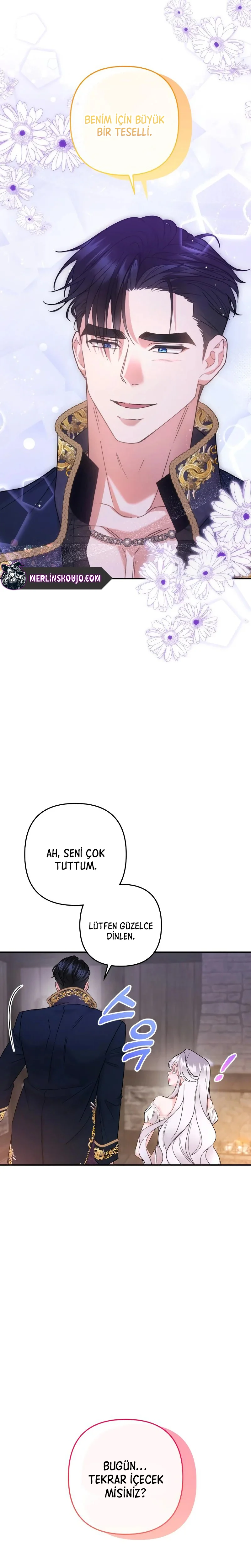 Bölüm 11