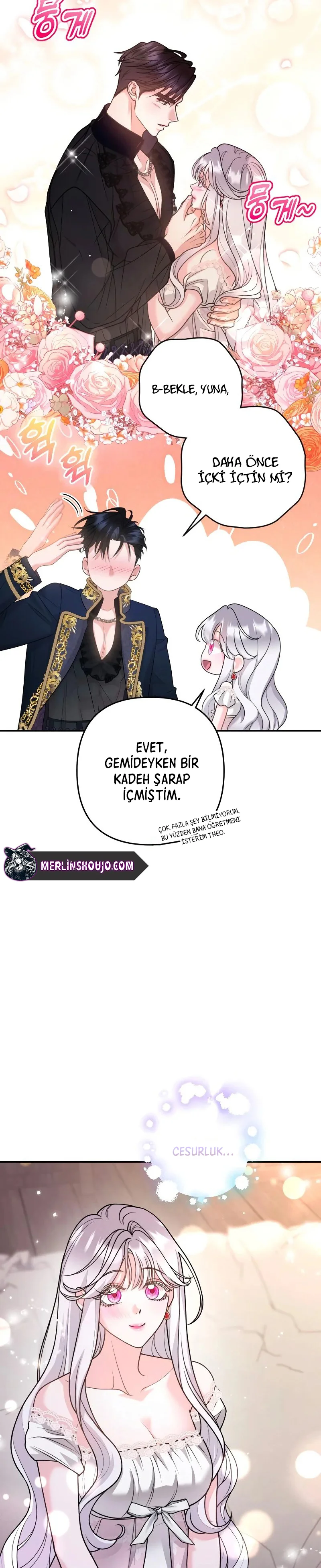 Bölüm 11