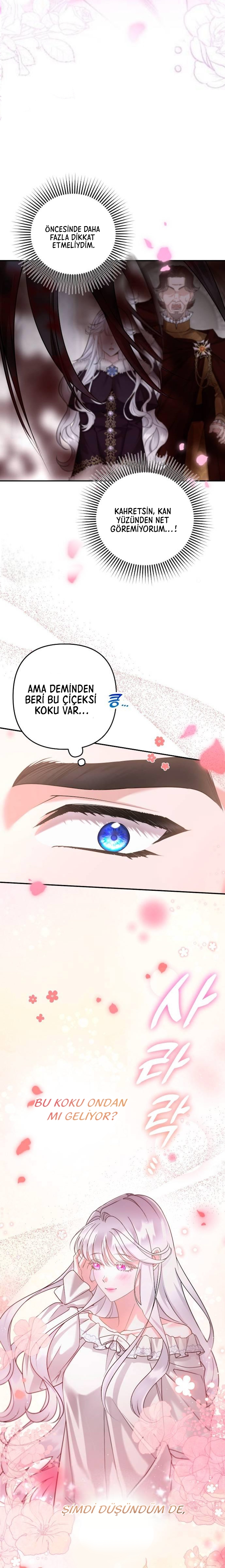 Bölüm 2