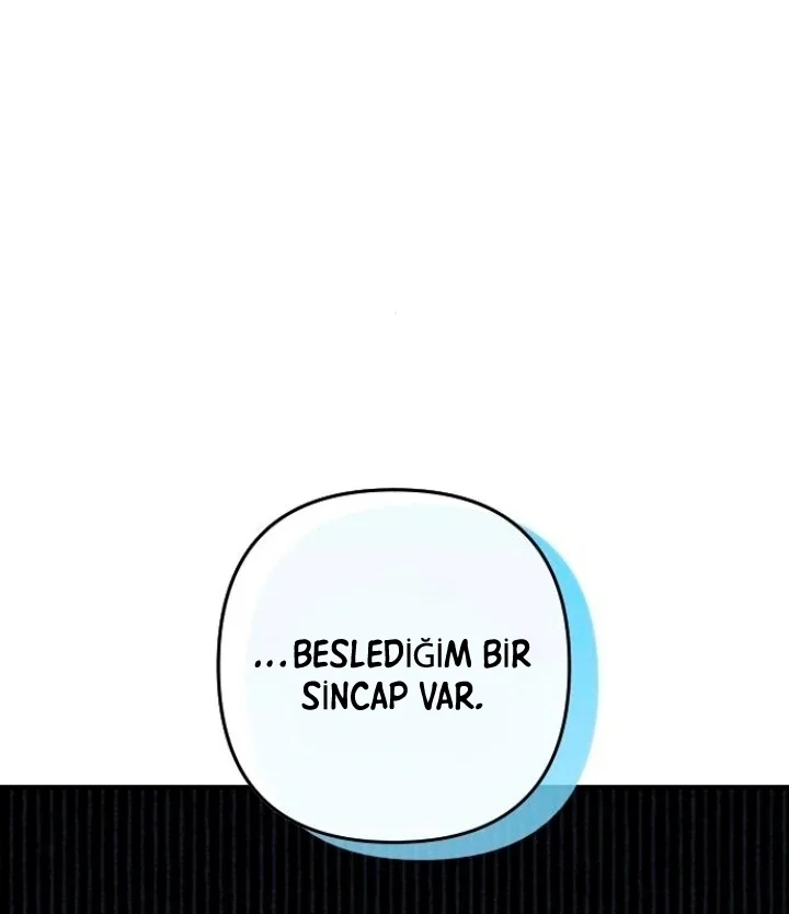 Bölüm 20