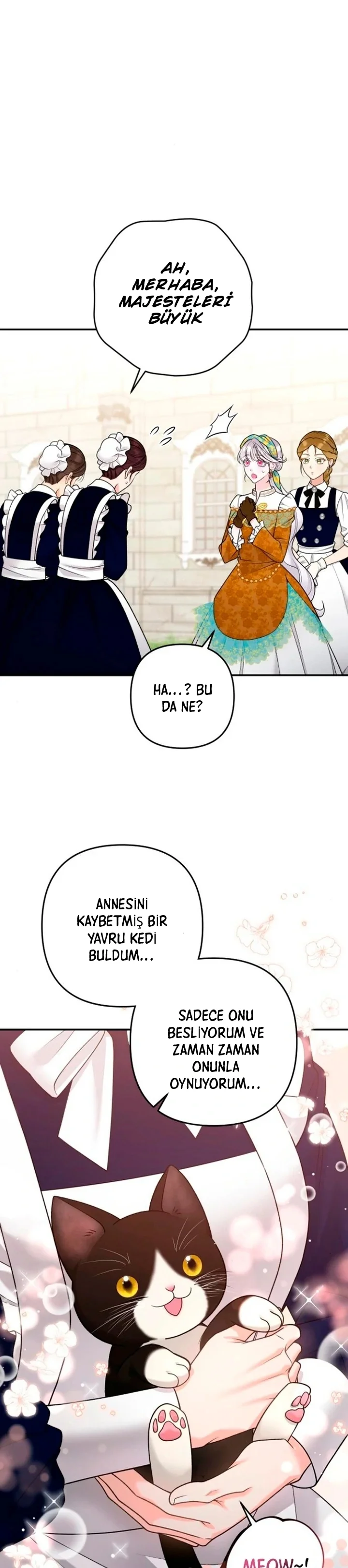 Bölüm 20