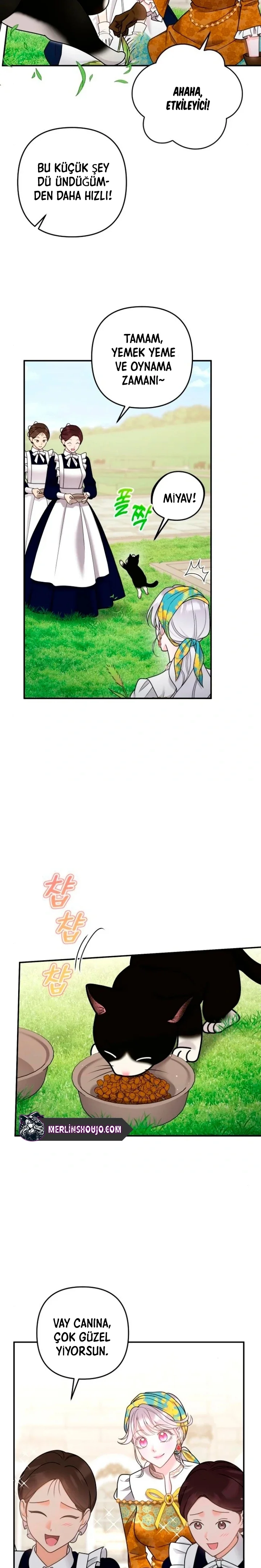 Bölüm 20
