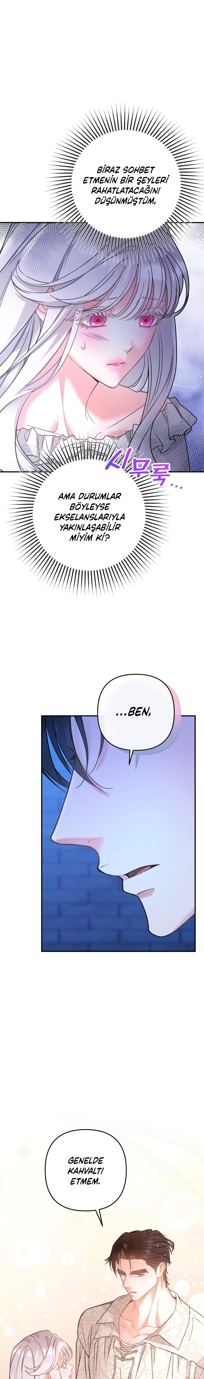 Bölüm 3