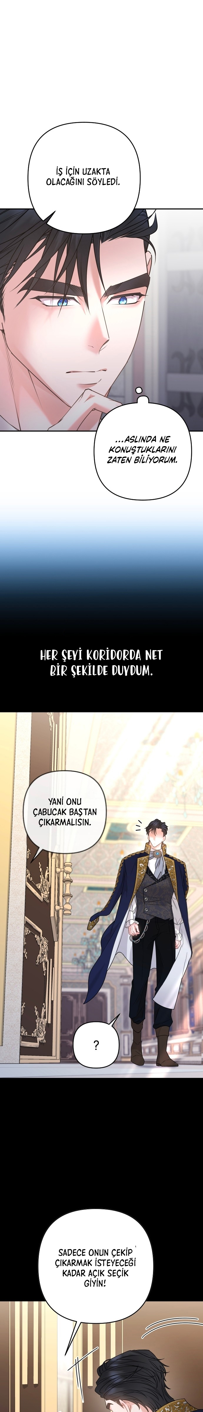Bölüm 3