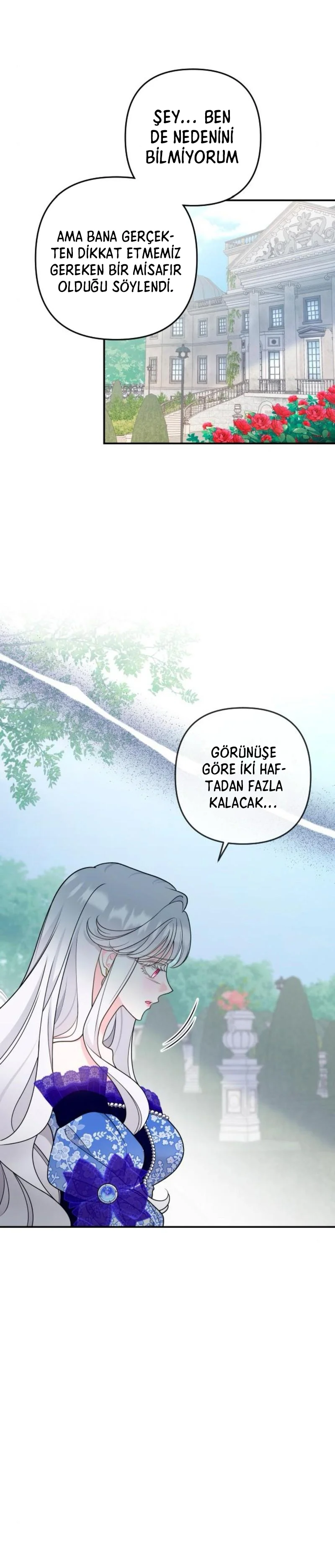 Bölüm 31