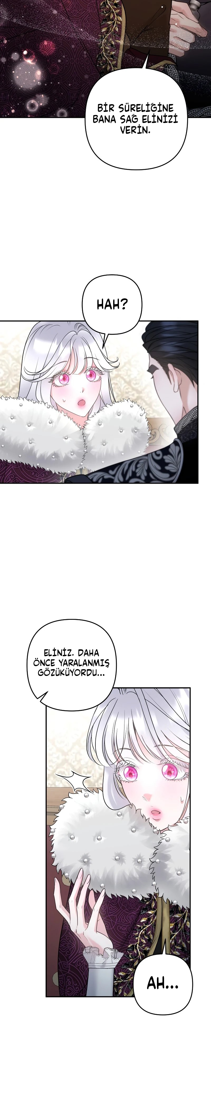 Bölüm 4