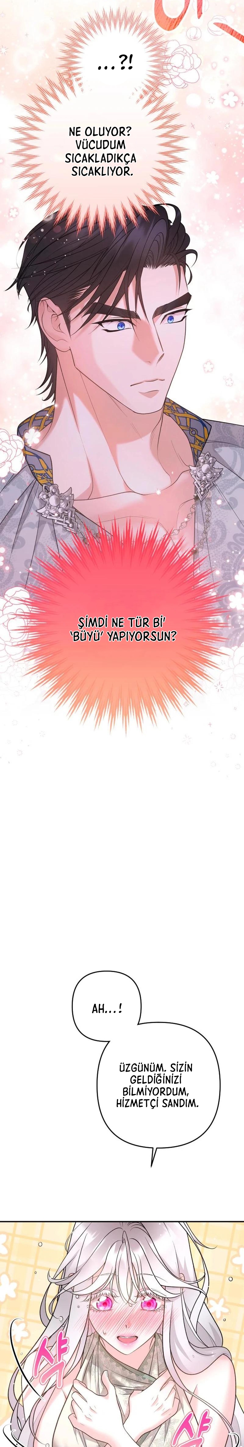 Bölüm 6