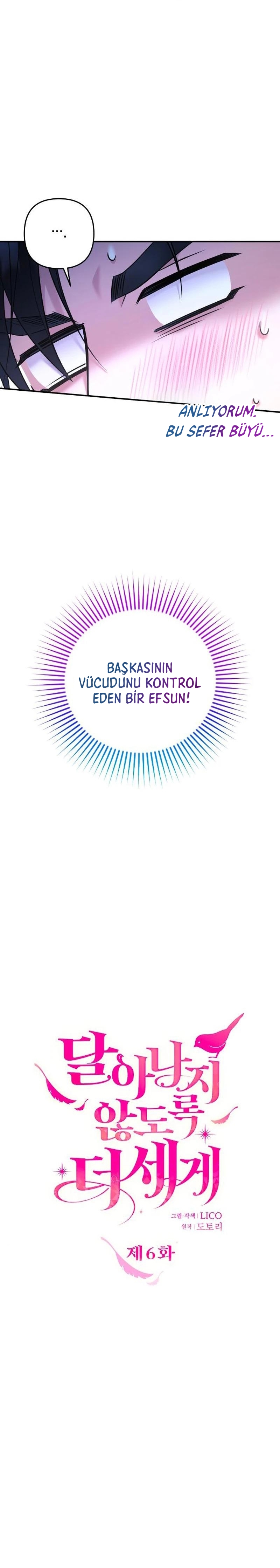 Bölüm 6
