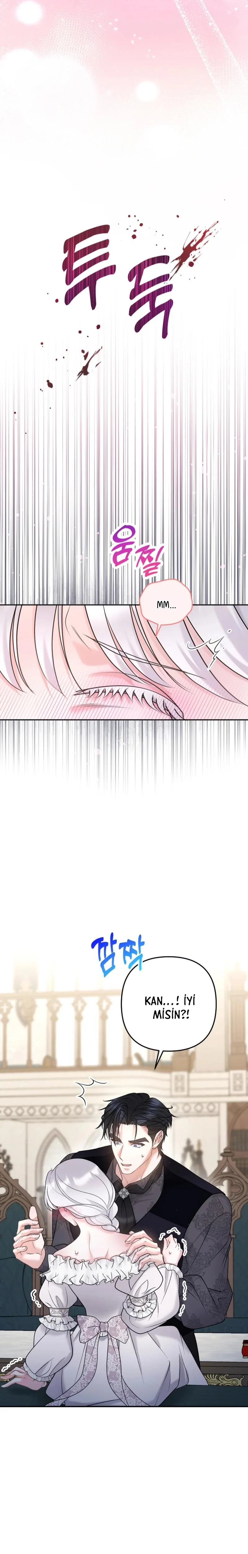 Bölüm 7