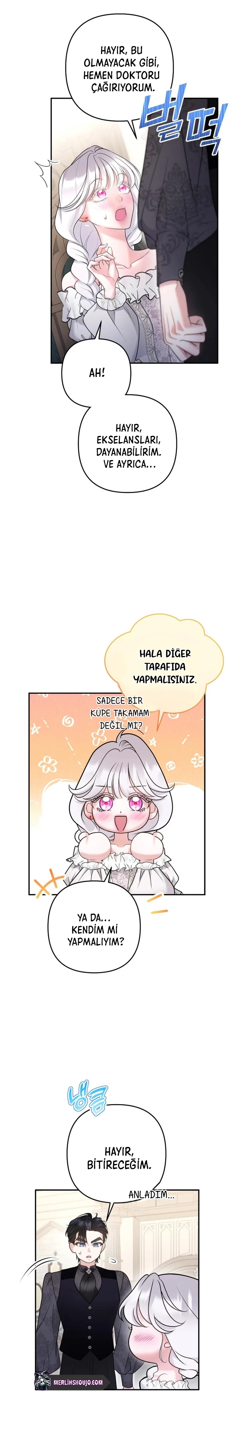 Bölüm 7