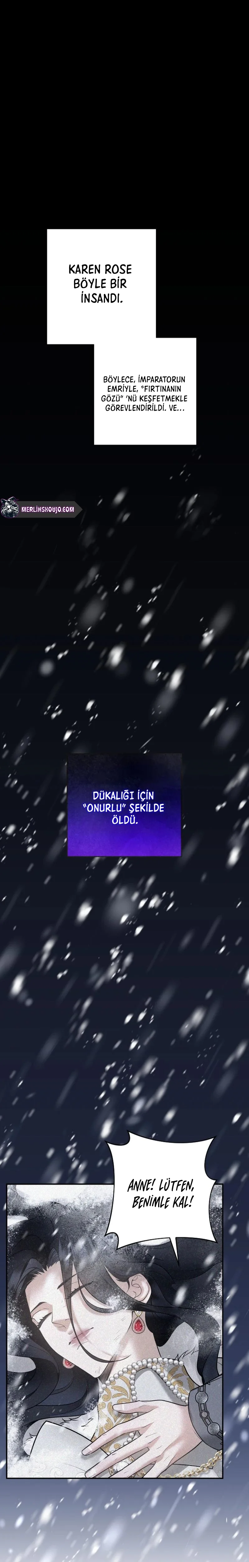 Bölüm 7