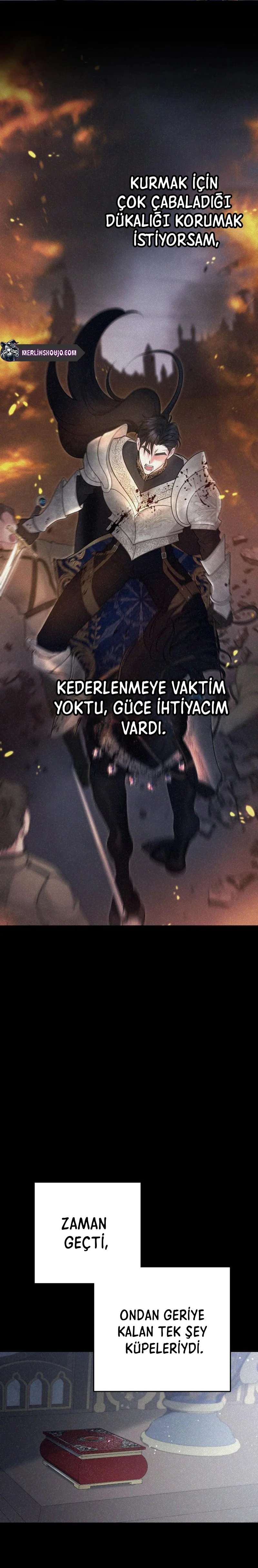 Bölüm 7