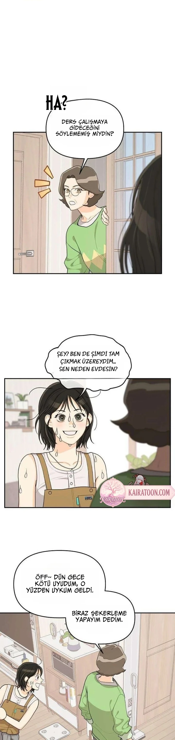 Bölüm 13