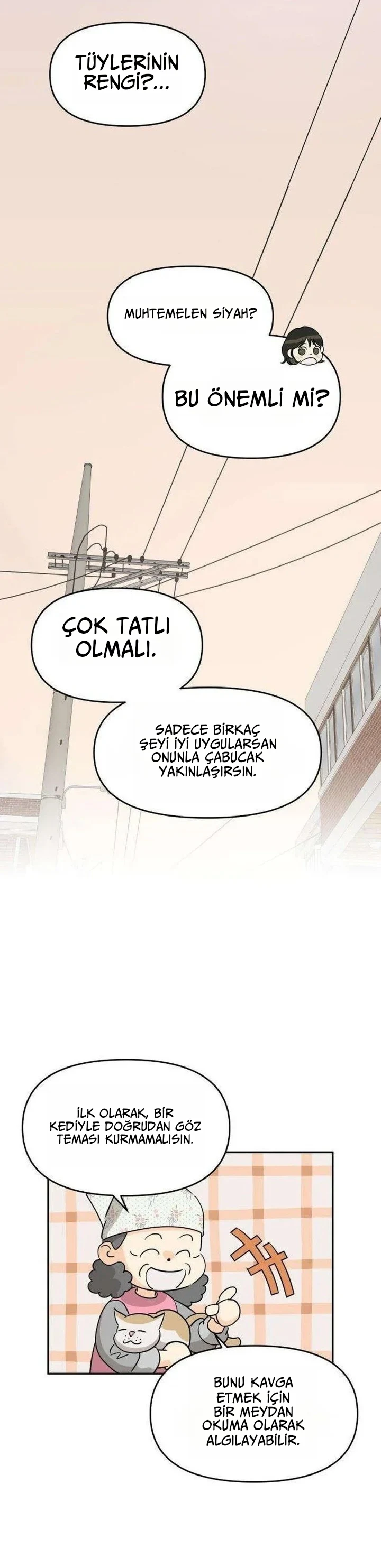 Bölüm 2