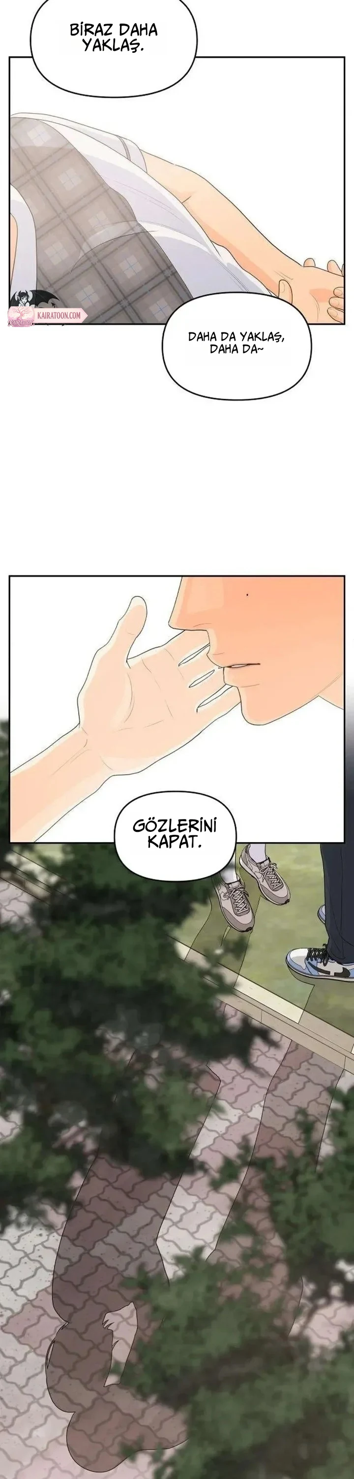 Bölüm 6