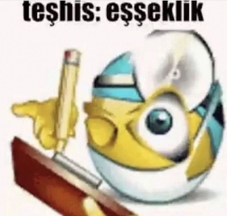 Lel cover