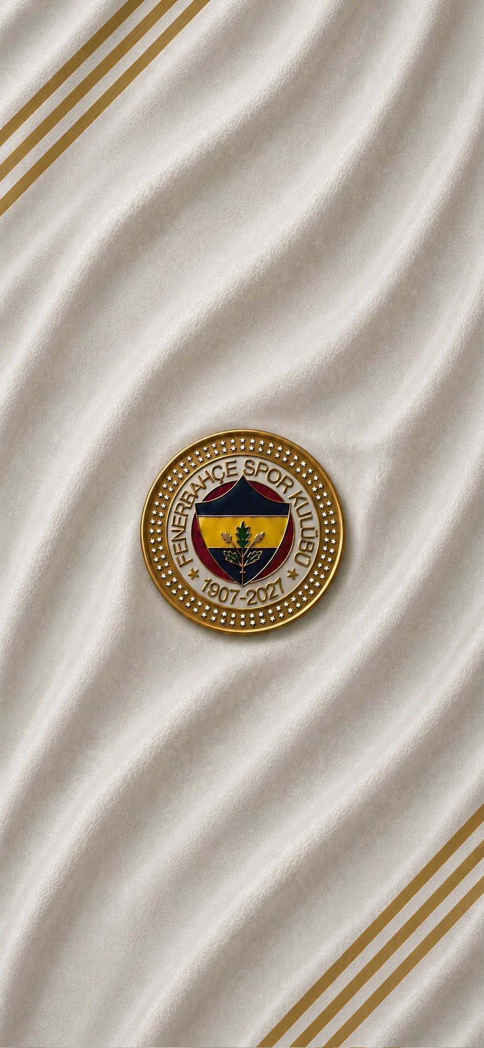 özgür cover