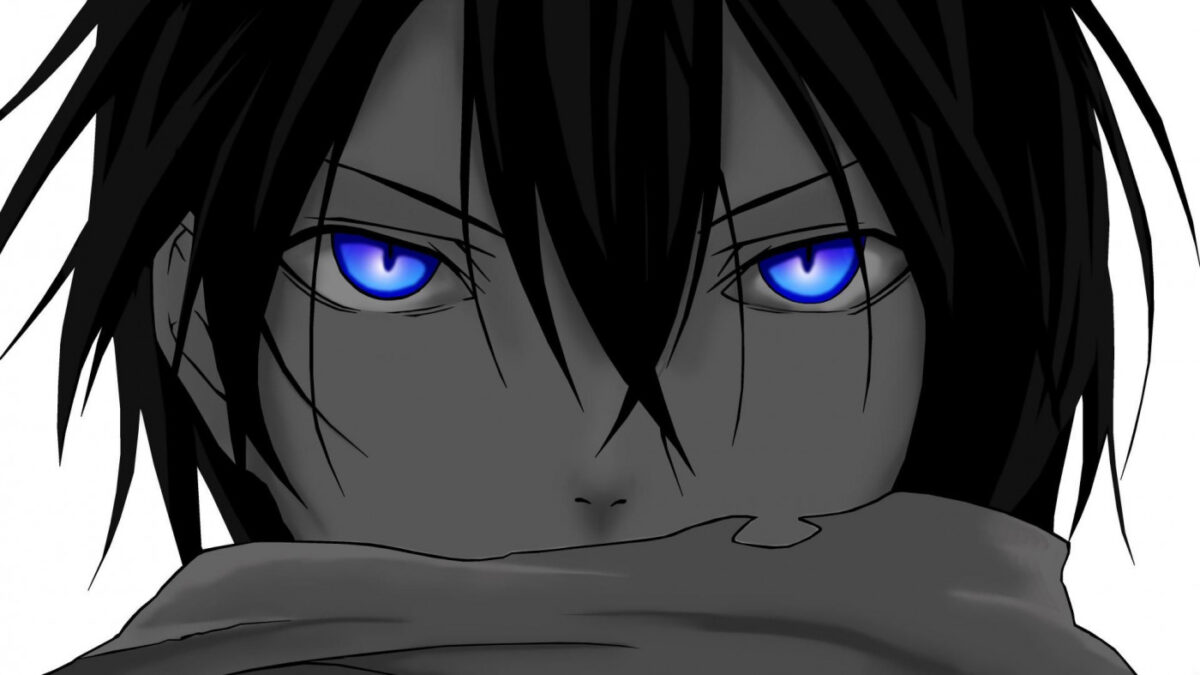 STRAYDER cover