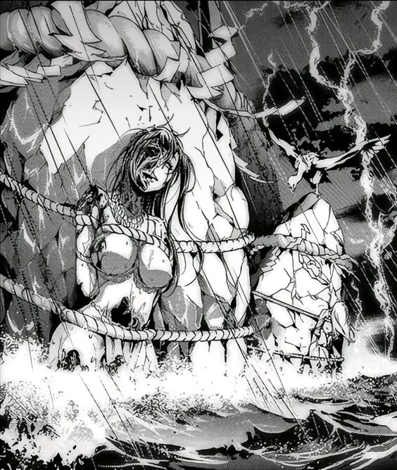 FYH560 cover